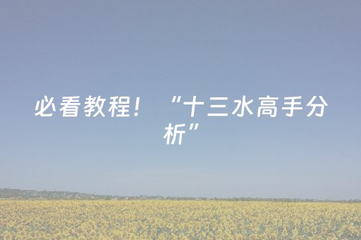 必看教程！“十三水高手分析”（详细辅助教程）-哔哩哔哩