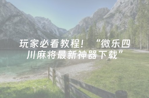 玩家必看教程！“微乐四川麻将最新神器下载”（详细透视教程）-哔哩哔哩