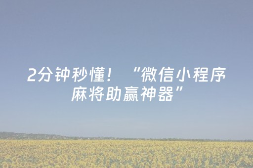 2分钟秒懂！“微信小程序麻将助赢神器”（详细辅助教程）-哔哩哔哩