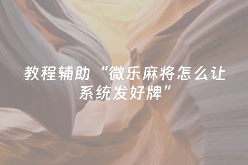 教程辅助“微乐麻将怎么让系统发好牌”（详细透视教程）-哔哩哔哩
