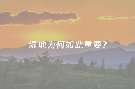 湿地为何如此重要？