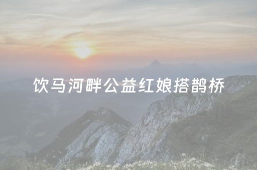饮马河畔公益红娘搭鹊桥