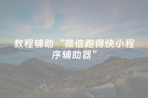 教程辅助“微信跑得快小程序辅助器”（详细透视教程）-哔哩哔哩