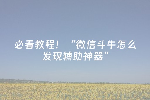 软件神器超棒!微乐辽宁麻将挂件神器(装挂怎么安装)