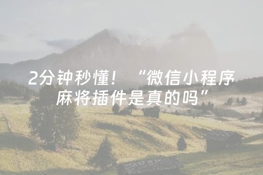 绝绝子的软件!天天福建十三水插件(辅助神器免费)