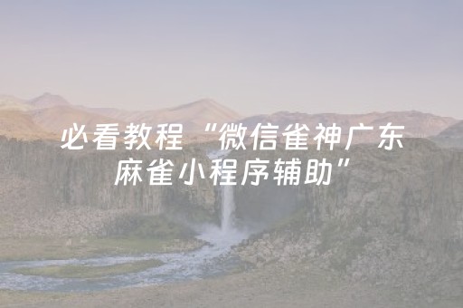 必看教程“微信雀神广东麻雀小程序辅助”（详细透视教程）-哔哩哔哩