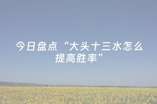 今日盘点“大头十三水怎么提高胜率”（详细辅助教程）-哔哩哔哩
