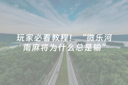 玩家必看教程！“微乐河南麻将为什么总是输”（详细辅助教程）-哔哩哔哩