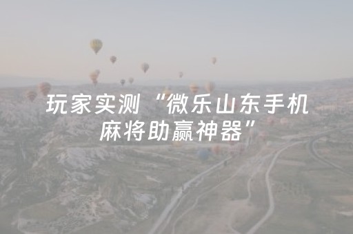 玩家实测“微乐山东手机麻将助赢神器”（详细透视教程）-哔哩哔哩
