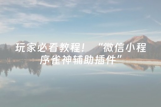 玩家必看教程！“微信小程序雀神辅助插件”（详细辅助教程）-哔哩哔哩