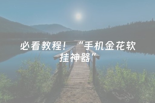 必看教程！“手机金花软挂神器”（详细透视教程）-哔哩哔哩