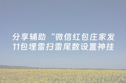 分享辅助“微信红包庄家发11包埋雷扫雷尾数设置神挂”（详细透视教程）-哔哩哔哩