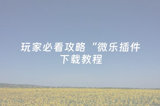 玩家必看攻略“微乐插件下载教程（专用辅牌神器免安装）