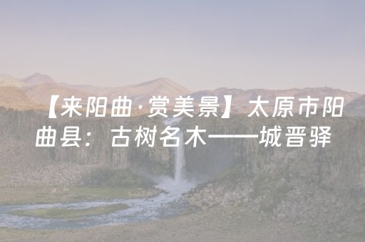 神器堪称一绝!填大坑辅助器免费版(怎么提高赢牌率)