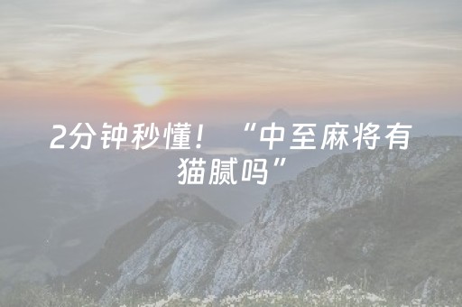 2分钟秒懂！“中至麻将有猫腻吗”（详细透视教程）-哔哩哔哩