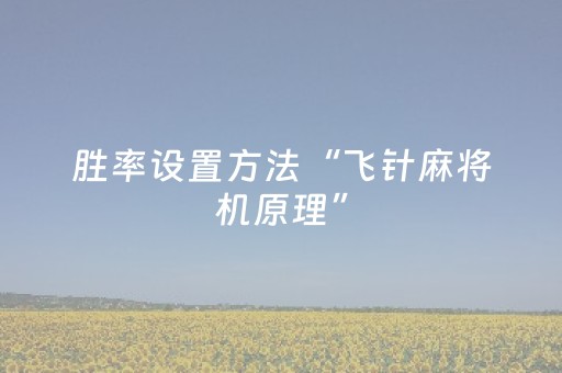 胜率设置方法“飞针麻将机原理”（详细透视教程）-哔哩哔哩