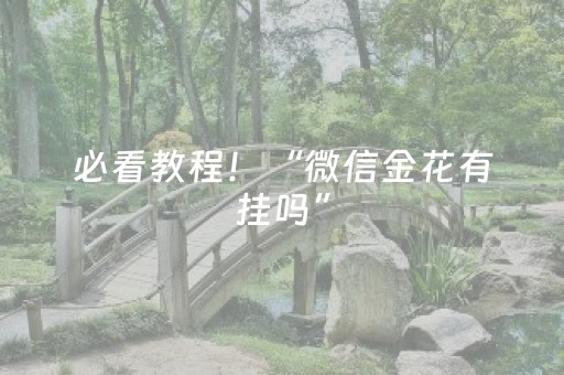 必看教程！“微信金花有挂吗”（详细透视教程）-哔哩哔哩