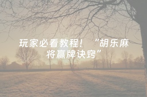 玩家必看教程！“胡乐麻将赢牌诀窍”（详细透视教程）-哔哩哔哩