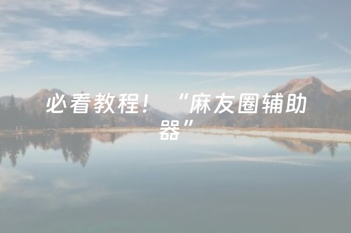 必看教程！“麻友圈辅助器”（详细辅助教程）-哔哩哔哩