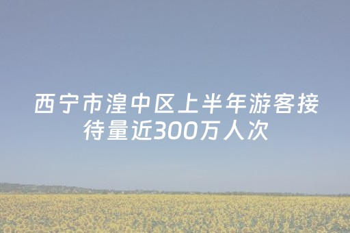 西宁市湟中区上半年游客接待量近300万人次