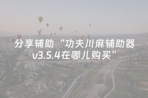 分享辅助“功夫川麻辅助器v3.5.4在哪儿购买”（详细透视教程）-哔哩哔哩