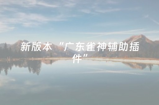 新版本“广东雀神辅助插件”（详细透视教程）-哔哩哔哩