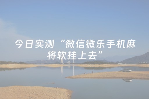 今日实测“微信微乐手机麻将软挂上去”（详细开挂教程）-哔哩哔哩