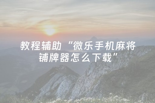 教程辅助“微乐手机麻将铺牌器怎么下载”（详细透视教程）-哔哩哔哩