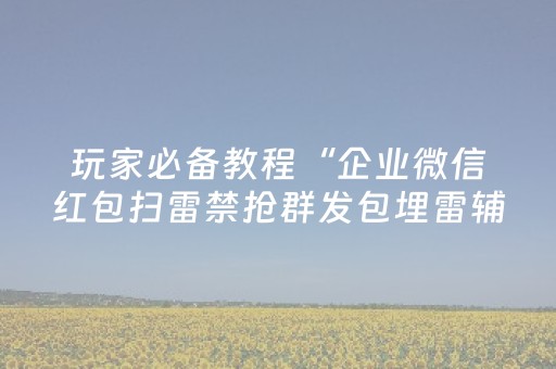 玩家必备教程“企业微信红包扫雷禁抢群发包埋雷辅助软件”（详细透视教程）-哔哩哔哩