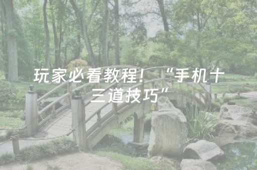 玩家必看教程！“手机十三道技巧”（详细开挂教程）-哔哩哔哩