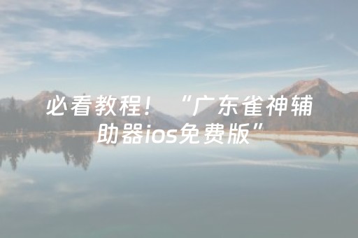 必看教程！“广东雀神辅助器ios免费版”（详细透视教程）-哔哩哔哩