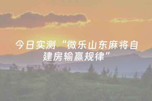 今日实测“微乐山东麻将自建房输赢规律”（详细开挂教程）-哔哩哔哩