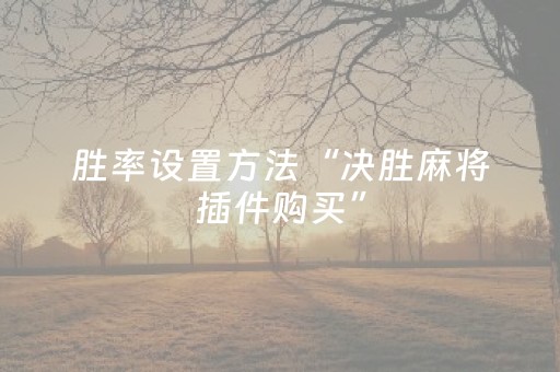 胜率设置方法“决胜麻将插件购买”（详细透视教程）-哔哩哔哩