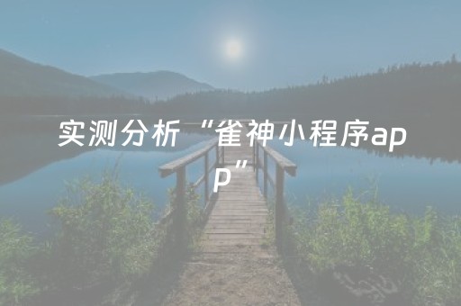 实测分析“雀神小程序app”（详细辅助教程）-哔哩哔哩