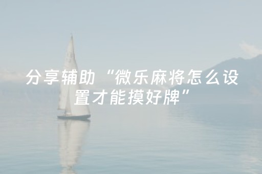 分享辅助“微乐麻将怎么设置才能摸好牌”（详细透视教程）-哔哩哔哩