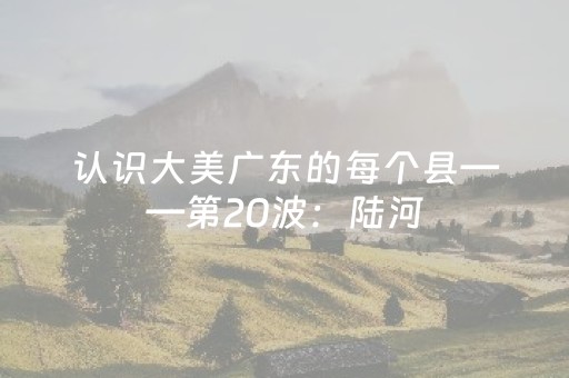 软件神器超灵!搜圈手机麻将辅牌器(专用神器)