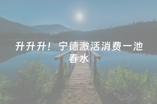 升升升！宁德激活消费一池春水
