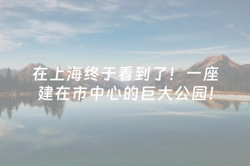 神器真心超棒!微乐江西麻将专用神器(怎么才能来好牌)