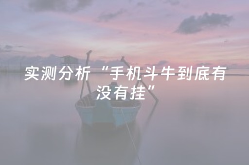 实测分析“手机斗牛到底有没有挂”（详细透视教程）-哔哩哔哩