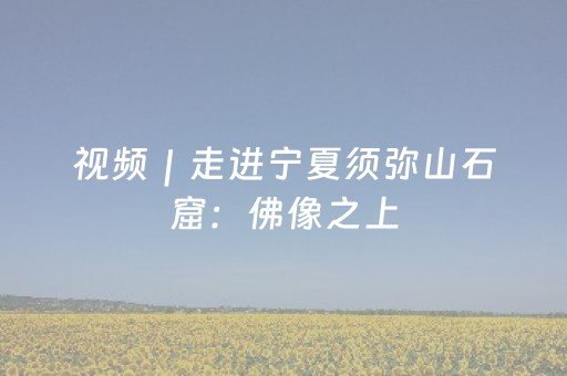 视频｜走进宁夏须弥山石窟：佛像之上，燕子筑巢