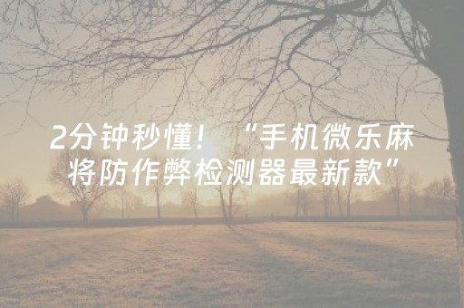 2分钟秒懂！“手机微乐麻将防作弊检测器最新款”（详细透视教程）-哔哩哔哩
