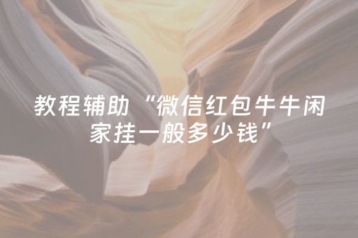 教程辅助“微信红包牛牛闲家挂一般多少钱”（详细透视教程）-哔哩哔哩