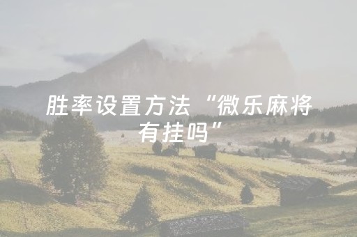 胜率设置方法“微乐麻将有挂吗”（详细透视教程）-哔哩哔哩