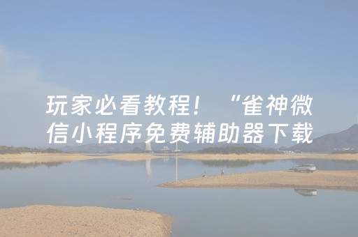 玩家必看教程！“雀神微信小程序免费辅助器下载”（详细辅助教程）-哔哩哔哩