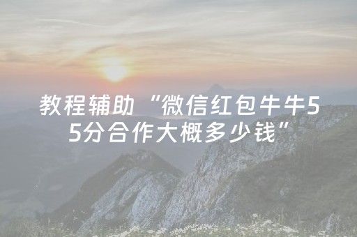 教程辅助“微信红包牛牛55分合作大概多少钱”（详细透视教程）-哔哩哔哩