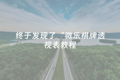 终于发现了“微乐棋牌透视表教程（助赢神器通用版）