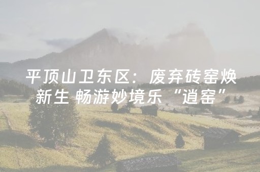 平顶山卫东区：废弃砖窑焕新生 畅游妙境乐“逍窑”