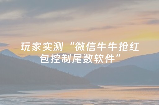 玩家实测“微信牛牛抢红包控制尾数软件”（详细透视教程）-哔哩哔哩