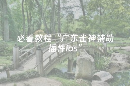 必看教程“广东雀神辅助插件ios”（详细透视教程）-哔哩哔哩