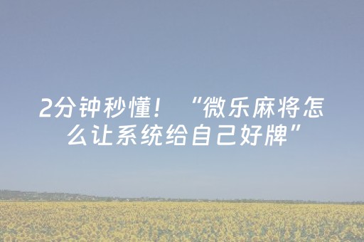 2分钟秒懂！“微乐麻将怎么让系统给自己好牌”（详细透视教程）-哔哩哔哩